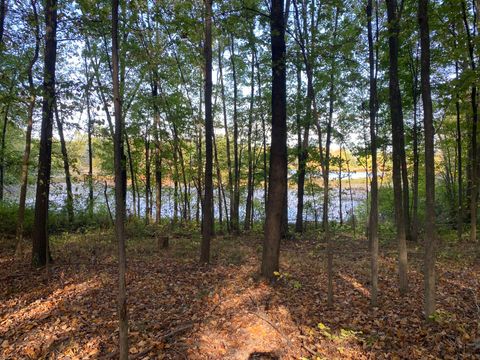 Photo of 9540 Vincent Avenue SE, Alto, MI 49302 (MLS # 25051390)