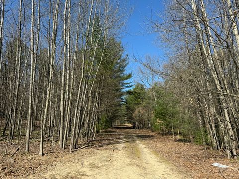 Photo of 3.75 Acres Wayne Road, Pentwater, MI 49449 (MLS # 25061420)