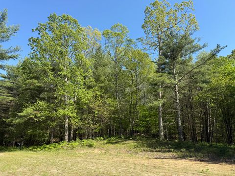 Photo of 3.75 Acres Wayne Road, Pentwater, MI 49449 (MLS # 25061420)