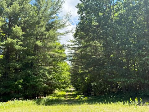 Photo of 3.75 Acres Wayne Road, Pentwater, MI 49449 (MLS # 25061420)