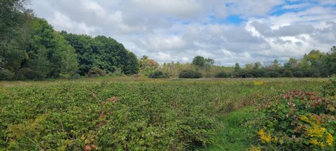 Photo of 881 S Brye Road, Ludington, MI 49431 (MLS # 25062259)