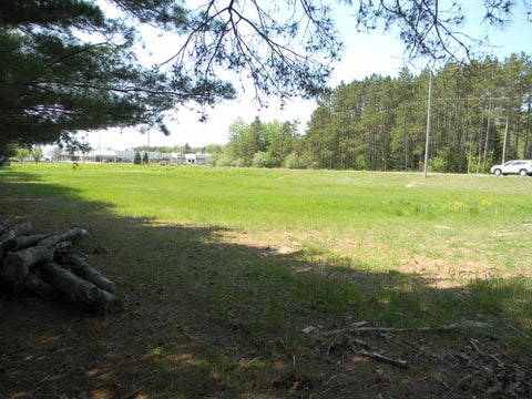 Photo of 4770 John Harlan Drive, Ludington, MI 49431 (MLS # 22042866)