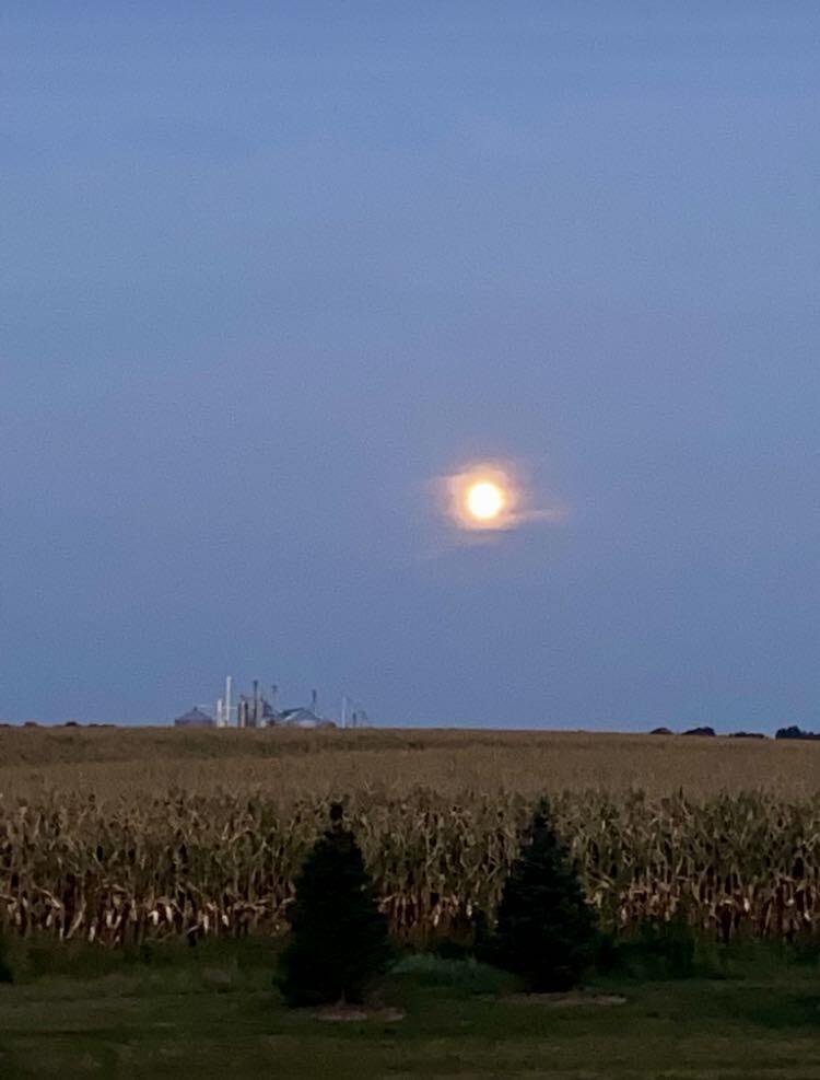 Richland, Michigan 49083, United States, 2 Bedrooms Bedrooms, ,2 BathroomsBathrooms,Residential,Active,103533