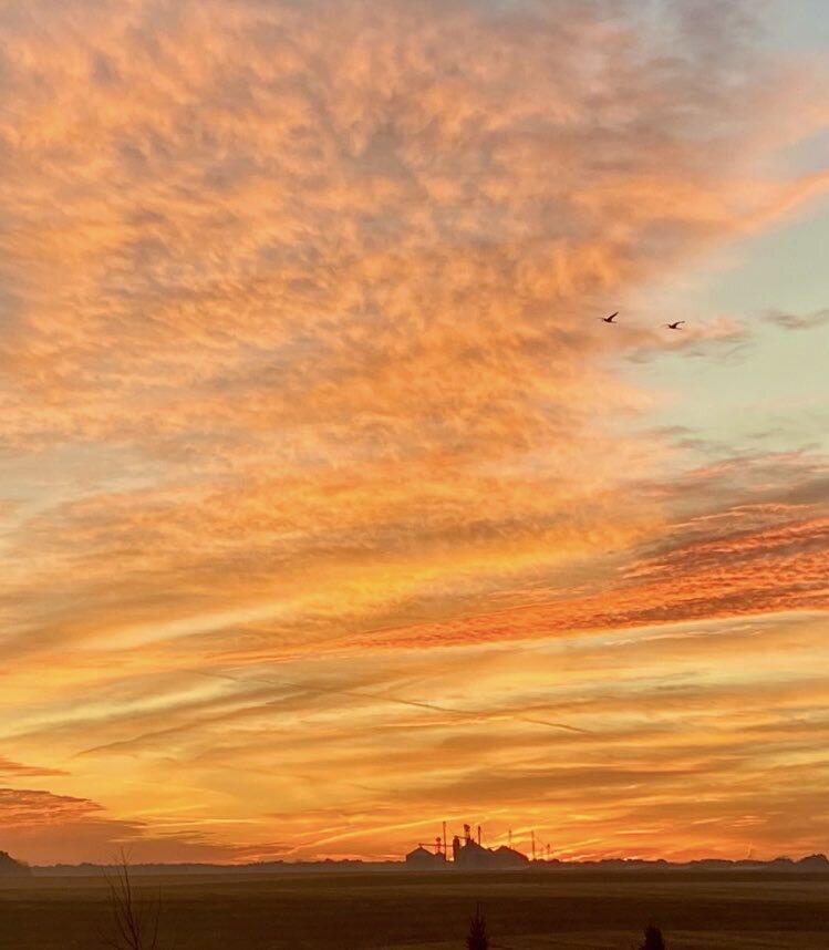 Richland, Michigan 49083, United States, 2 Bedrooms Bedrooms, ,2 BathroomsBathrooms,Residential,Active,103533