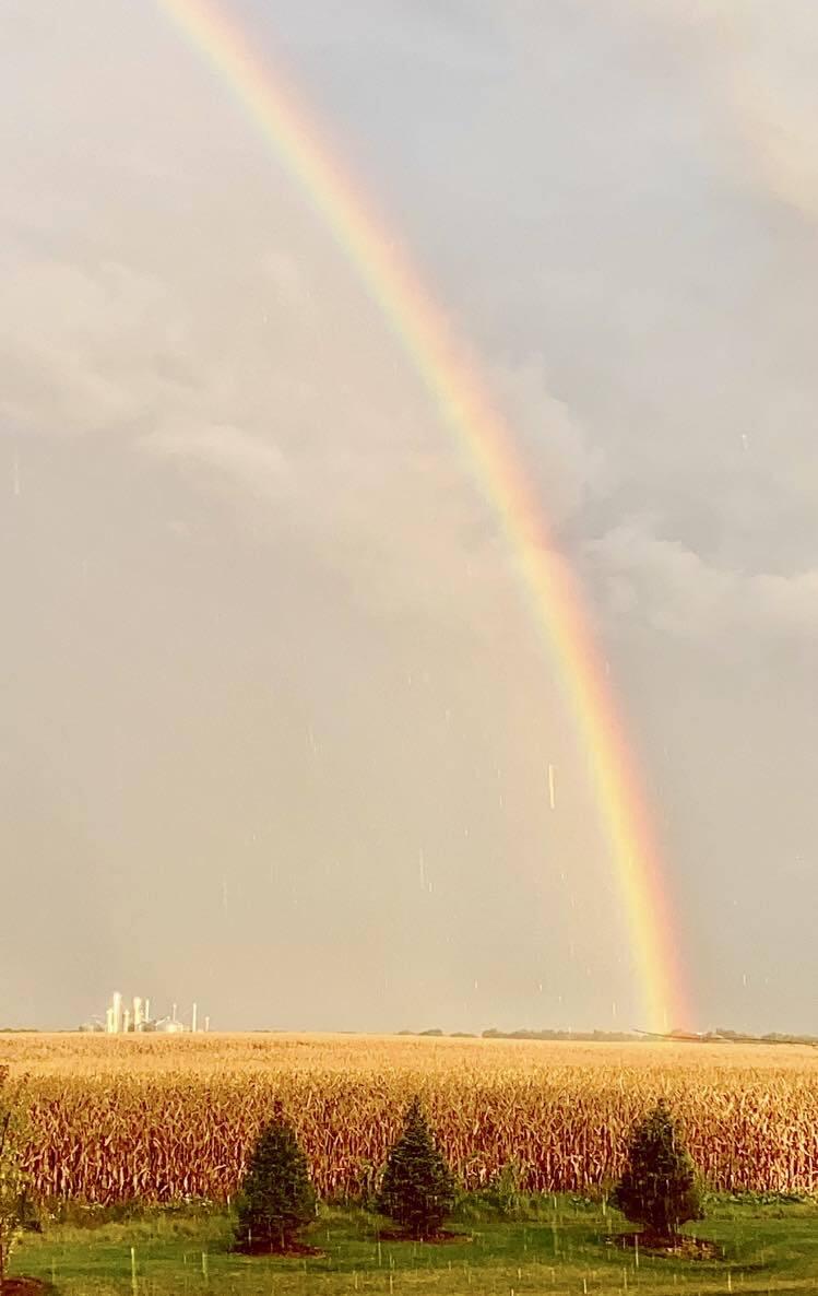 Richland, Michigan 49083, United States, 2 Bedrooms Bedrooms, ,2 BathroomsBathrooms,Residential,Active,103533