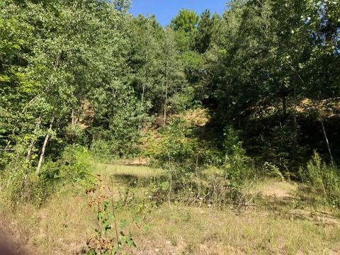 Photo of Lots 8 & 9 S Riverview Drive, Hesperia, MI 49421 (MLS # 26004067)