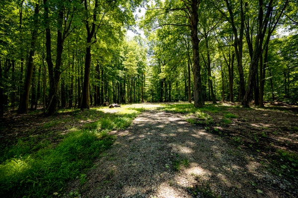 YOUNGREN RD, THREE OAKS, MI 49128 - Image e29d327f71f8e850ef7fb9e3e682e7a3/103860079