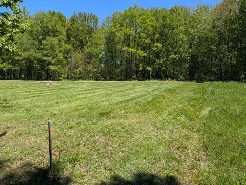 Photo of 5987 Taylor Street, Hudsonville, MI 49426 (MLS # 26021916)