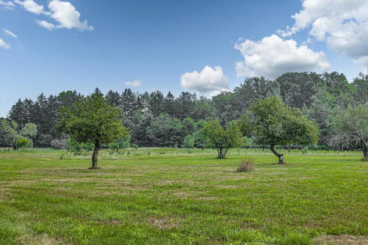 19839 Witt Road