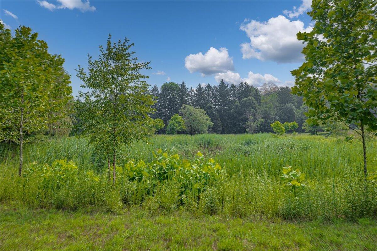 19839 Witt Road