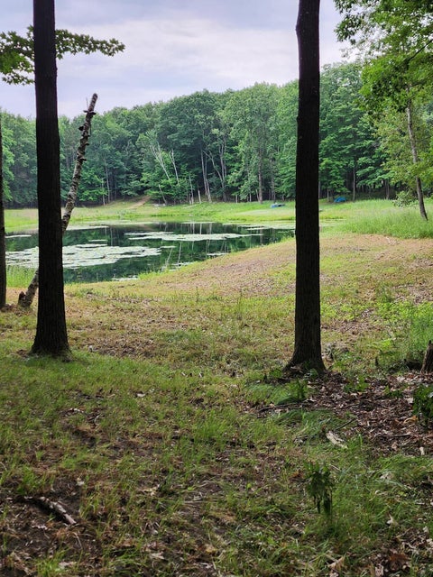 Photo for 1631 Laurel Lane