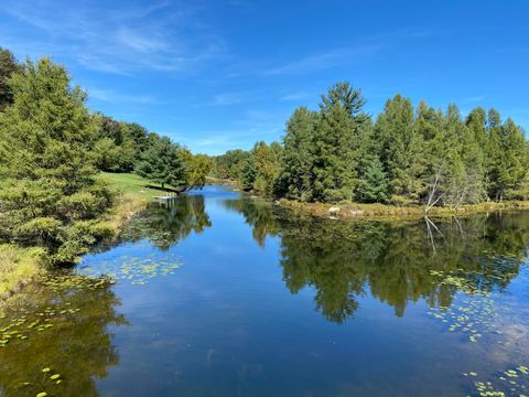 9220 Ranger Drive Canadian Lakes MI 49346