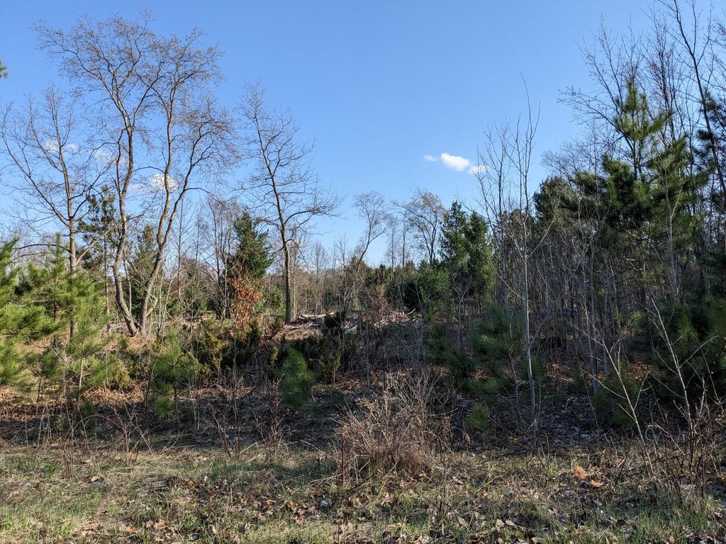 Photo of Bergstrom Drive, Kaleva, MI 49645 (MLS # 26004985)