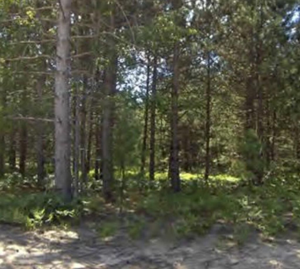 Photo of Bergstrom Drive, Kaleva, MI 49645 (MLS # 26004985)