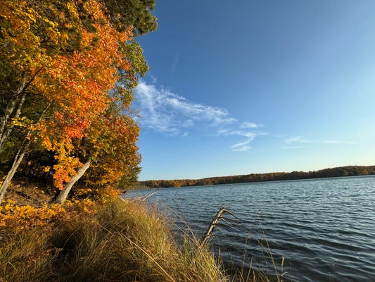 ADDRESS PRIVATE, BELLAIRE, MI 49615 - Image e4b92fa1219b696537bc8d0c65800fb2/3628225857