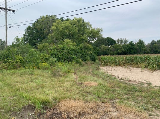 8501 MARTZ RD, YPSILANTI, MI 48197 - Image e4d5e2e8d9fbde5dc1cb1f1227e32510/3470284695
