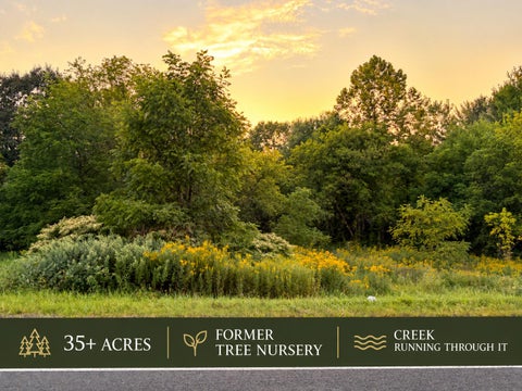 Photo for 32050 County Road 681