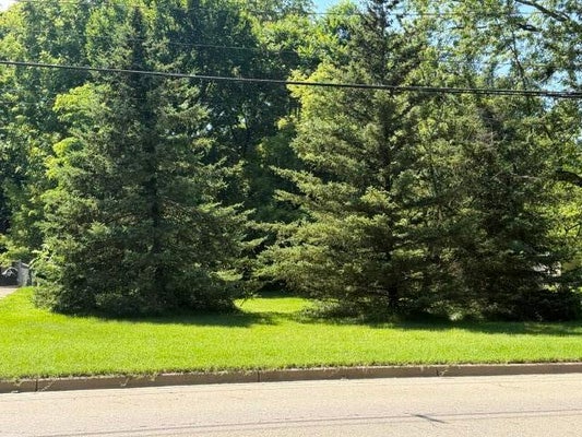 413 BREWER ST, MARSHALL, MI 49068 - Image e5db2204cc5ac60e9154a9280dc8a8dc/1992543860