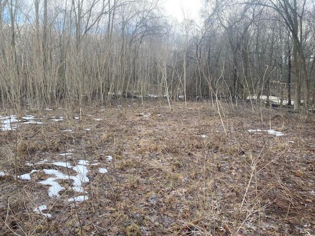 Photo of 2963 Detroit Road, Niles, MI 49120 (MLS # 26005908)