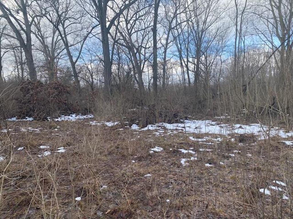 Photo of 2963 Detroit Road, Niles, MI 49120 (MLS # 26005908)