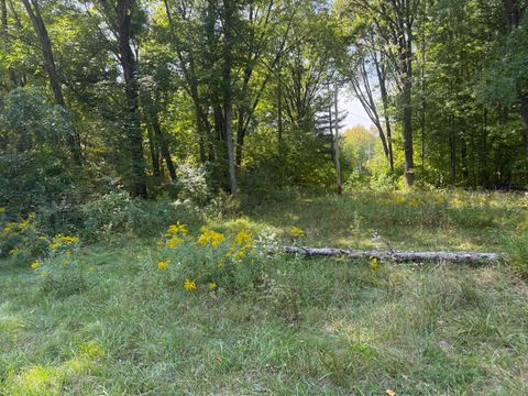 Photo of VL Carol Street, Newaygo, MI 49337 (MLS # 26013885)