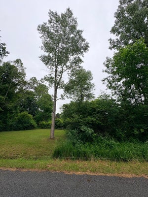0 CRESTVIEW DRIVE, LAINGSBURG, MI 48848 - Image e6fa9dbfda1950124372343d63feabde/2269017437