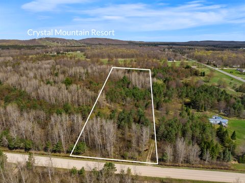 Photo of 00Z0 Dzuibanek Road, Thompsonville, MI 49683 (MLS # 26018646)