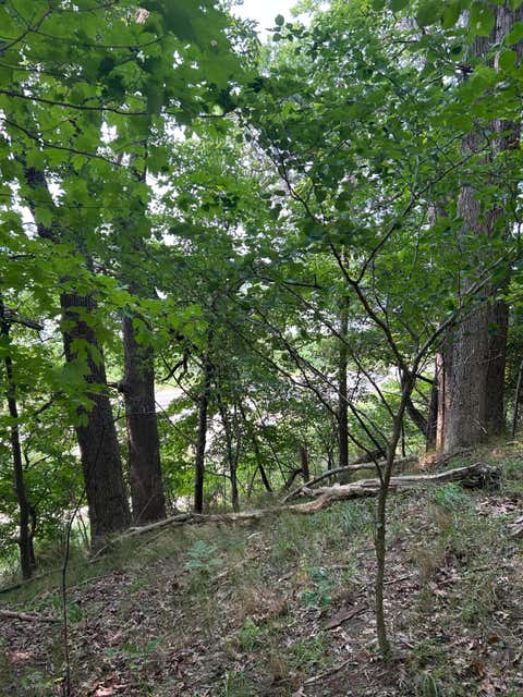 Photo of Longbridge West lot 7, Pentwater, MI 49449 (MLS # 26038817)