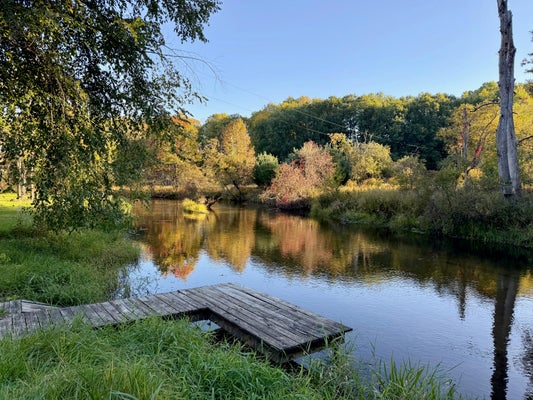5261 E HASENBANK RD, FREE SOIL, MI 49411 - Image e77ebd98bde86e2510b1f863ef4f6779/897397897