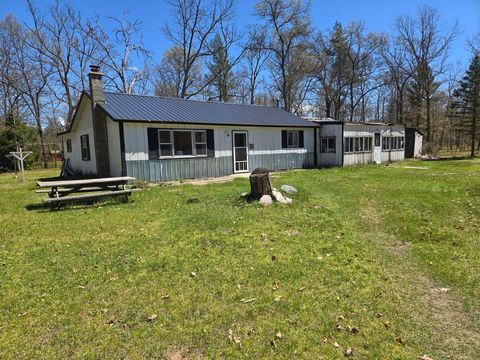 Photo of 3664 N Hamlock Lane, Irons, MI 49644 (MLS # 25034091)