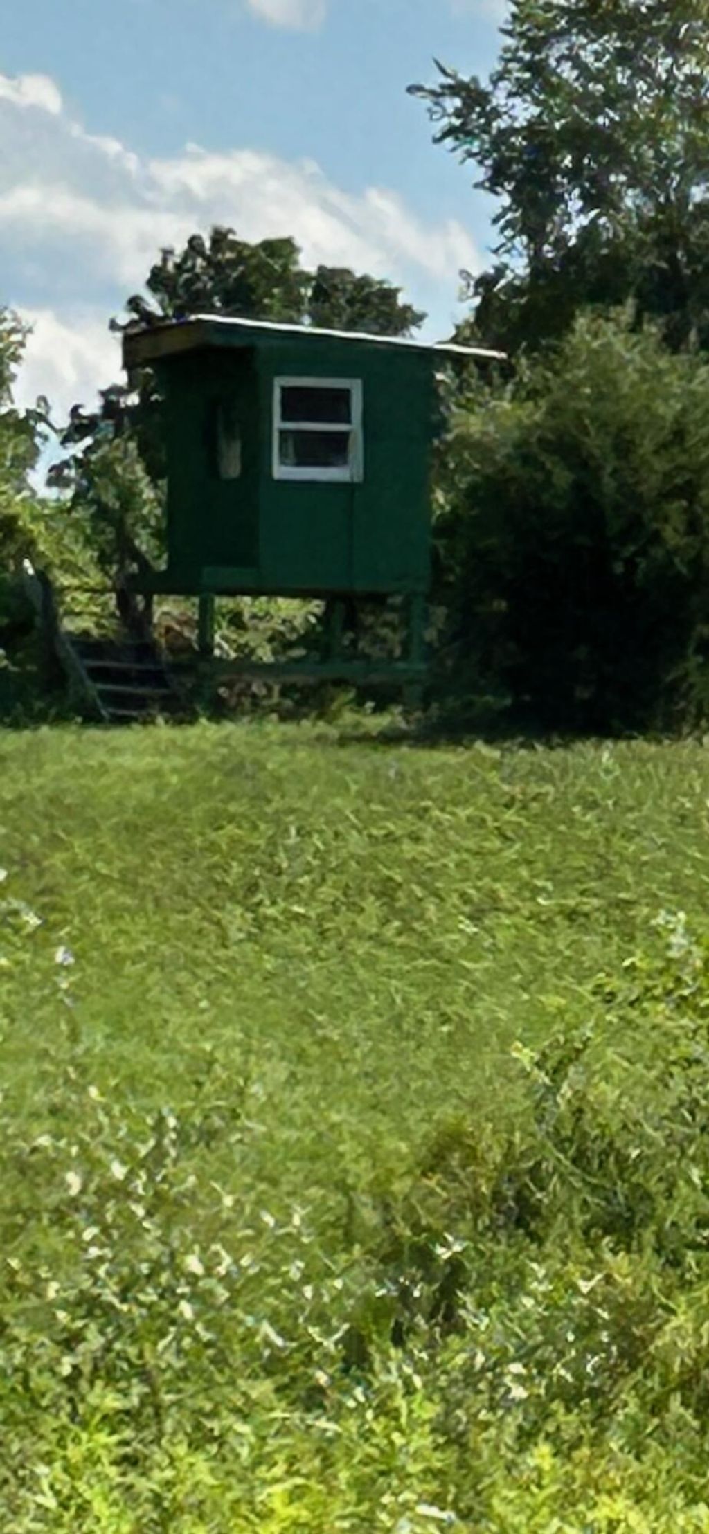 Photo of 19495 V Drive N, Olivet, MI 49076 (MLS # 26005989)