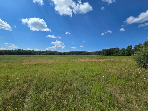 Photo of Parcel C Leckrone Road, Brethren, MI 49619 (MLS # 26037513)