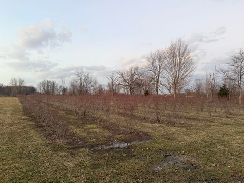 Photo of 73122 36th Avenue, Covert, MI 49043 (MLS # 26011290)