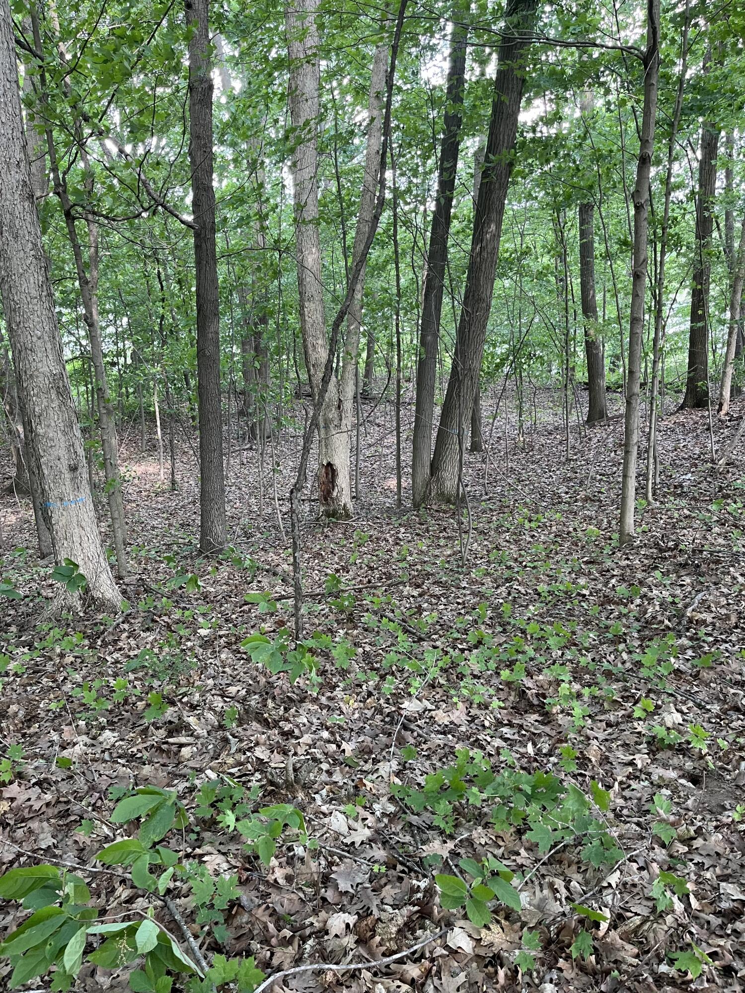 Otsego, Michigan 49078, United States, ,Land,Active,73410