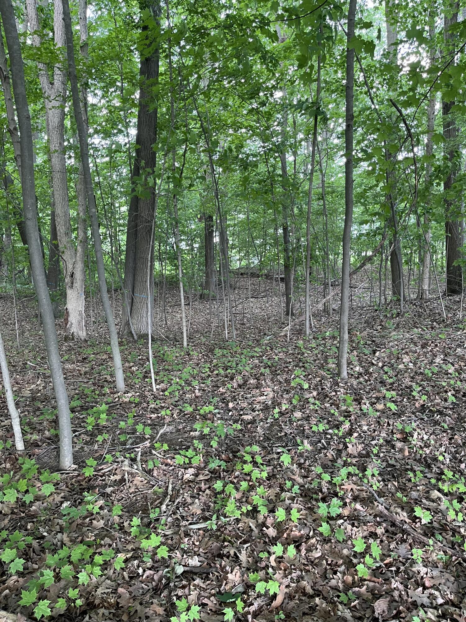 Otsego, Michigan 49078, United States, ,Land,Active,73410