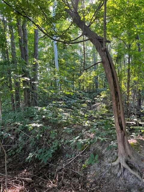 Otsego, Michigan 49078, United States, ,Land,Active,73410