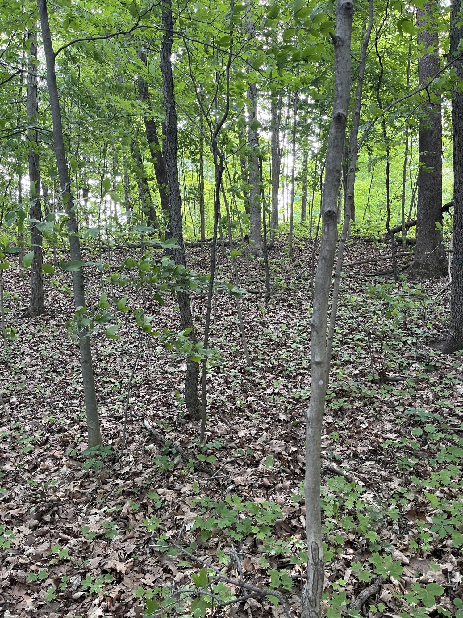 Otsego, Michigan 49078, United States, ,Land,Active,73410