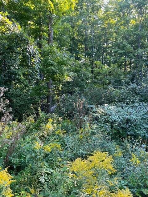 Otsego, Michigan 49078, United States, ,Land,Active,73410