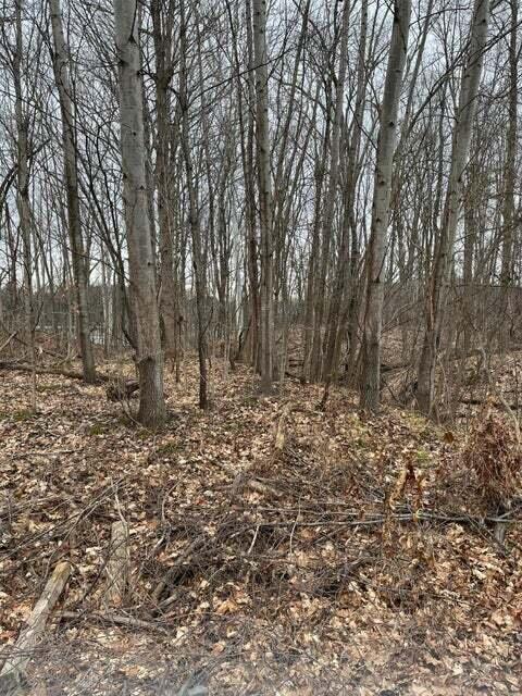 Otsego, Michigan 49078, United States, ,Land,Active,73410