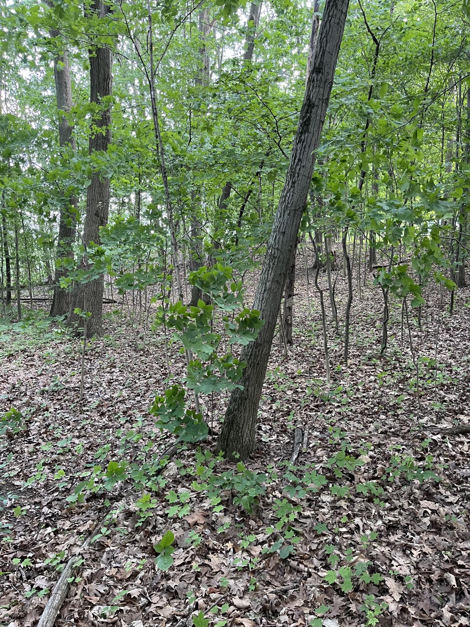 Otsego, Michigan 49078, United States, ,Land,Active,73410