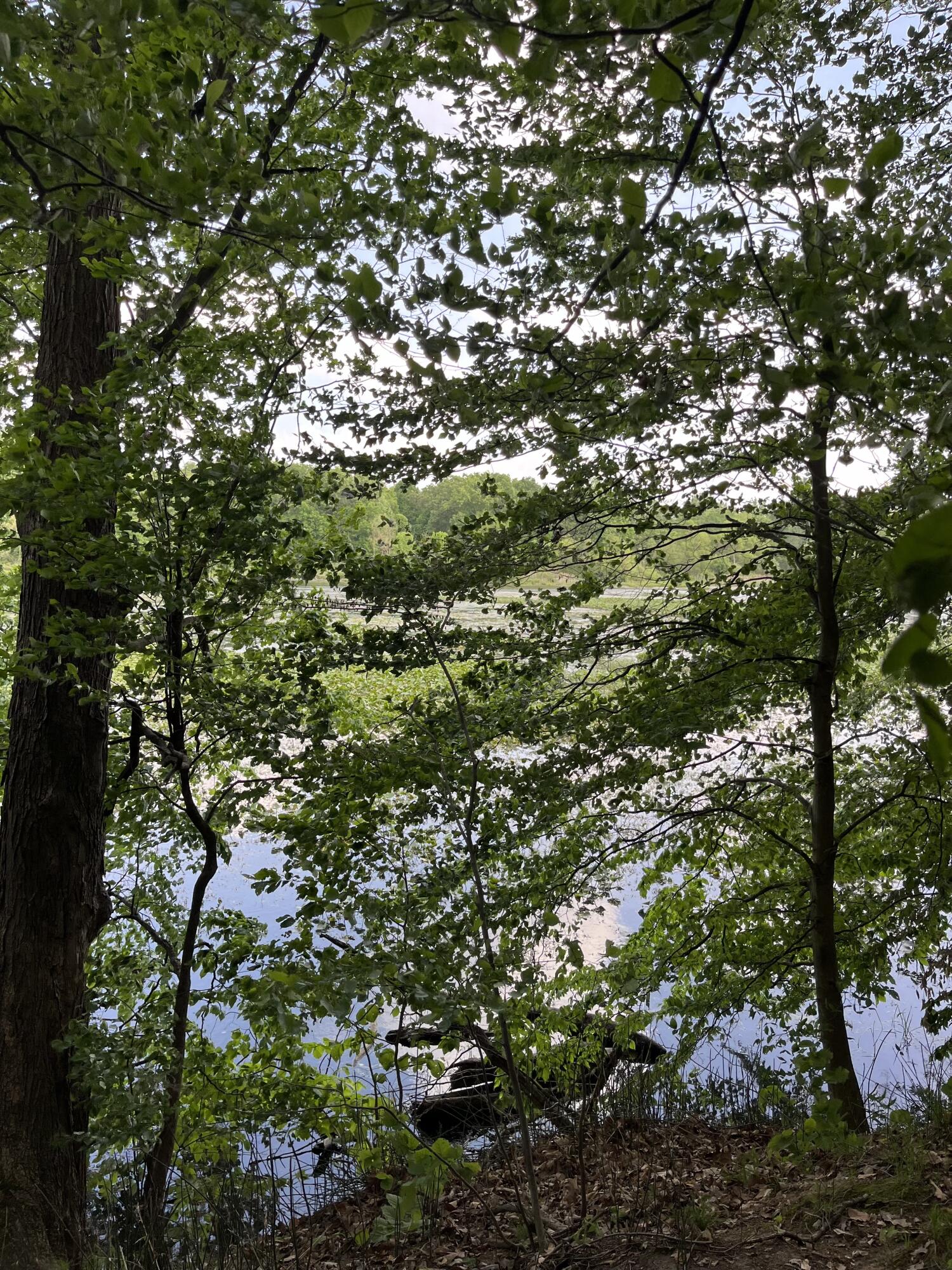 Otsego, Michigan 49078, United States, ,Land,Active,73410