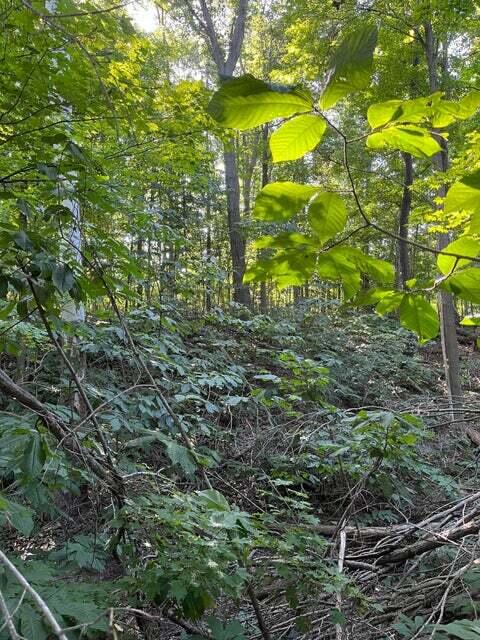 Otsego, Michigan 49078, United States, ,Land,Active,73410