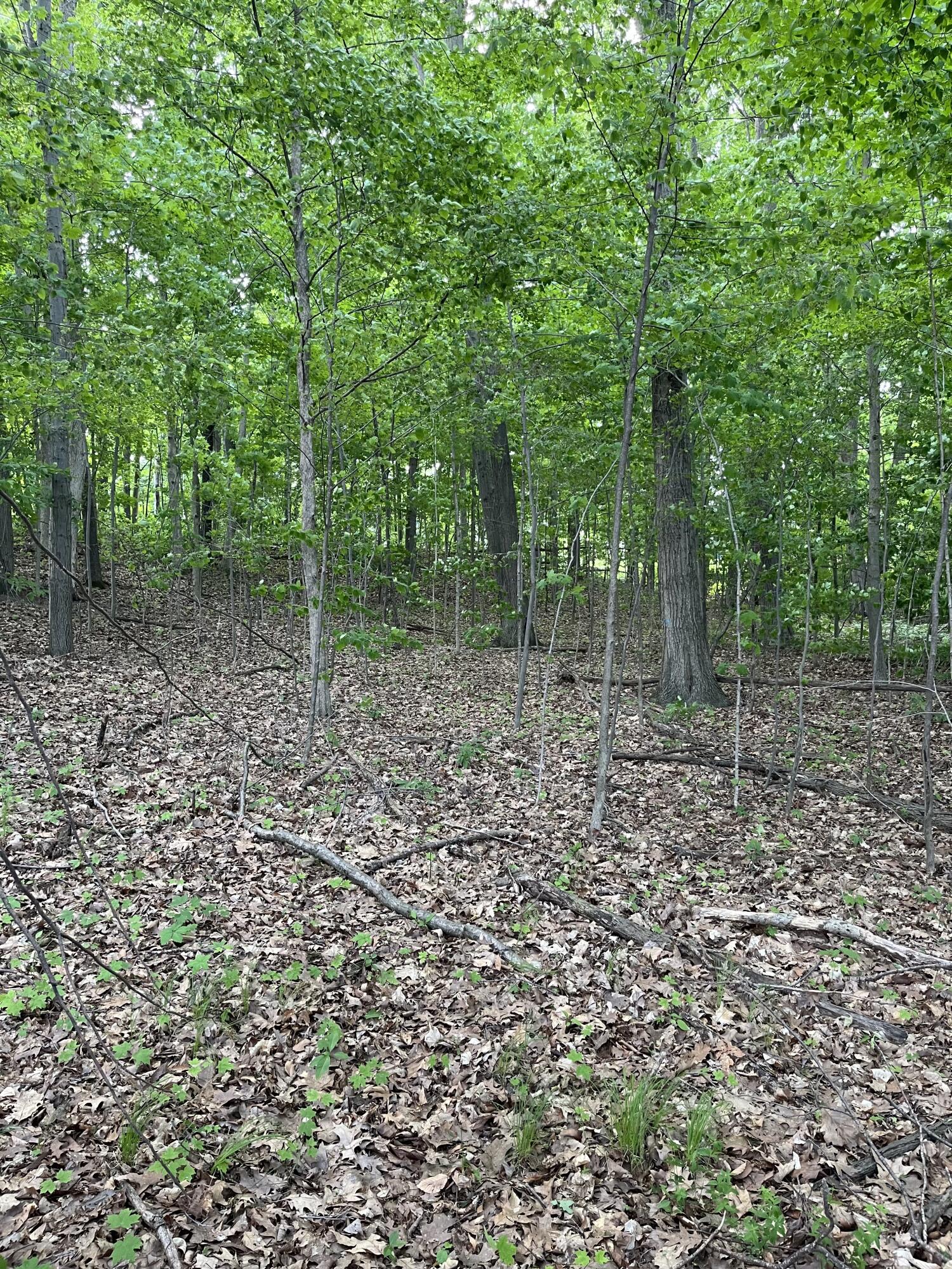 Otsego, Michigan 49078, United States, ,Land,Active,73410