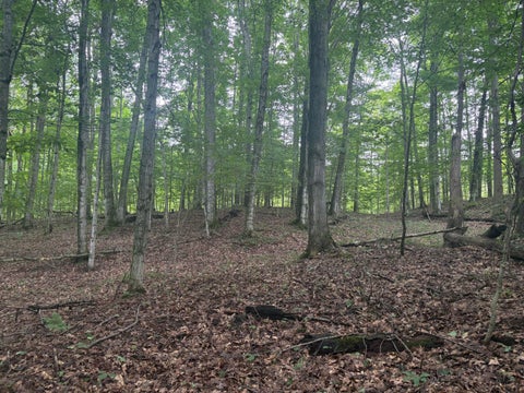 Photo of 18611 St. Pierre Road, Arcadia, MI 49613 (MLS # 26047611)