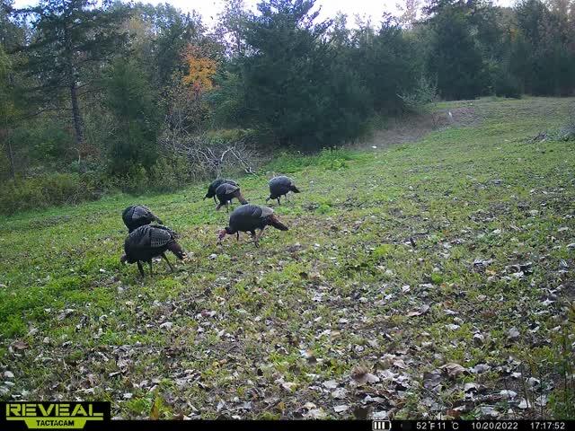 Properties Available 2 - 2 5100 Long Lake Road