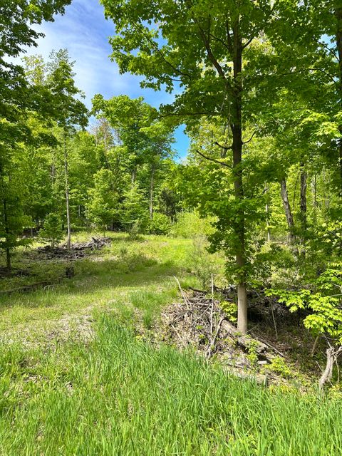 Photo of 4333 E Town Line Road, Fountain, MI 49410 (MLS # 25024217)
