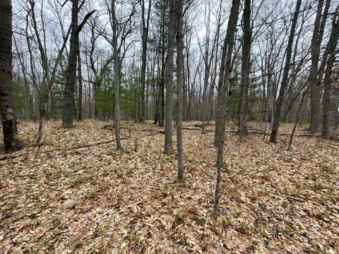 Photo of Parcel D Coates Hwy, Brethren, MI 49619 (MLS # 26019413)