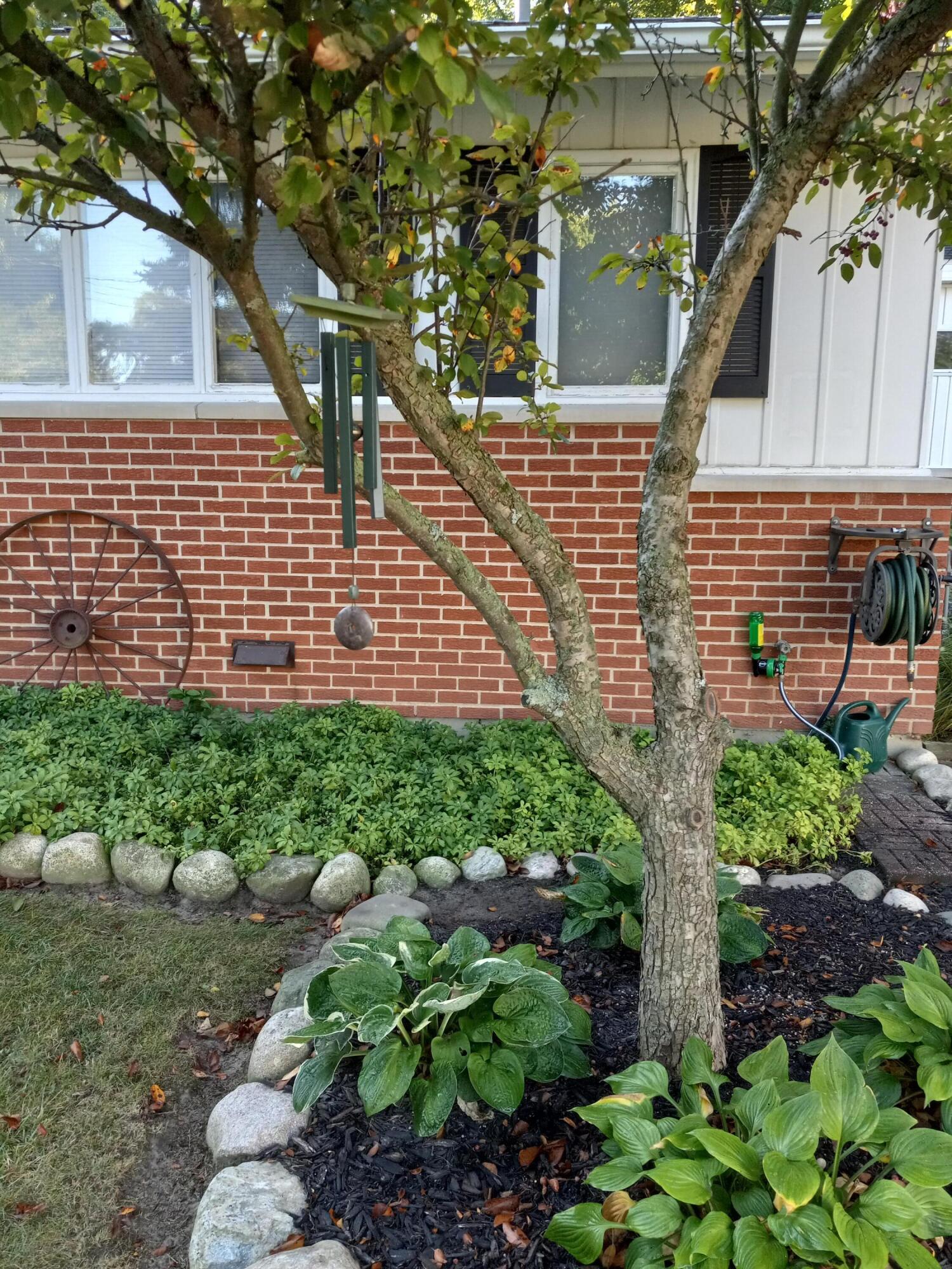 Allegan, Michigan 49010, United States, 3 Bedrooms Bedrooms, ,2 BathroomsBathrooms,Residential,Pending,114735