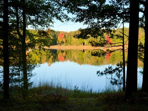 Photo of V/L Lot 5 E Shingle Mill Way, Manistee, MI 49660 (MLS # 26016166)