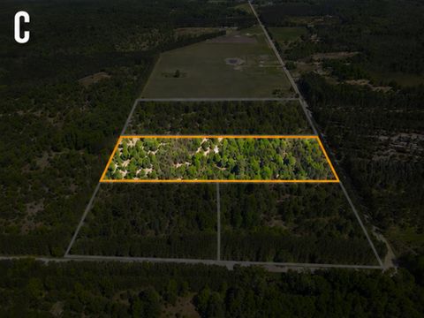 Photo of Parcel C Niemi Road, Kaleva, MI 49645 (MLS # 26033805)